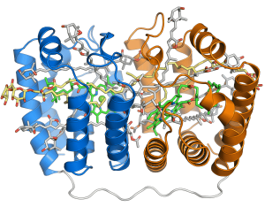 schéma de protéines de la chlorophylle