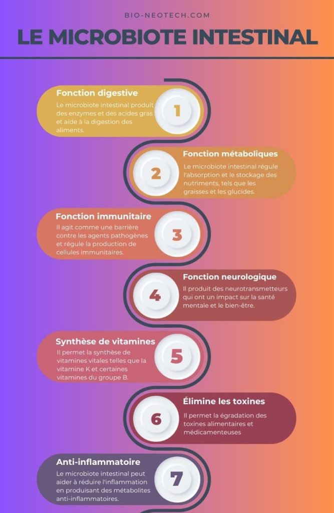 Infographie sur les bienfaits du microbiote intestinal.