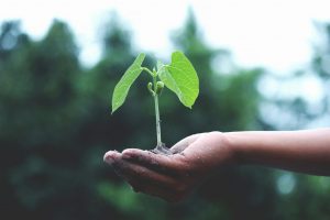 Développement durable